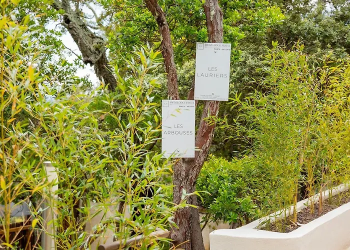 Otel Swim Piscine Privee Ou Jacuzzi Prive